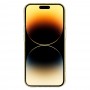 Etui Gold Glitter Apple Iphone 13 Przezroczysto złoty